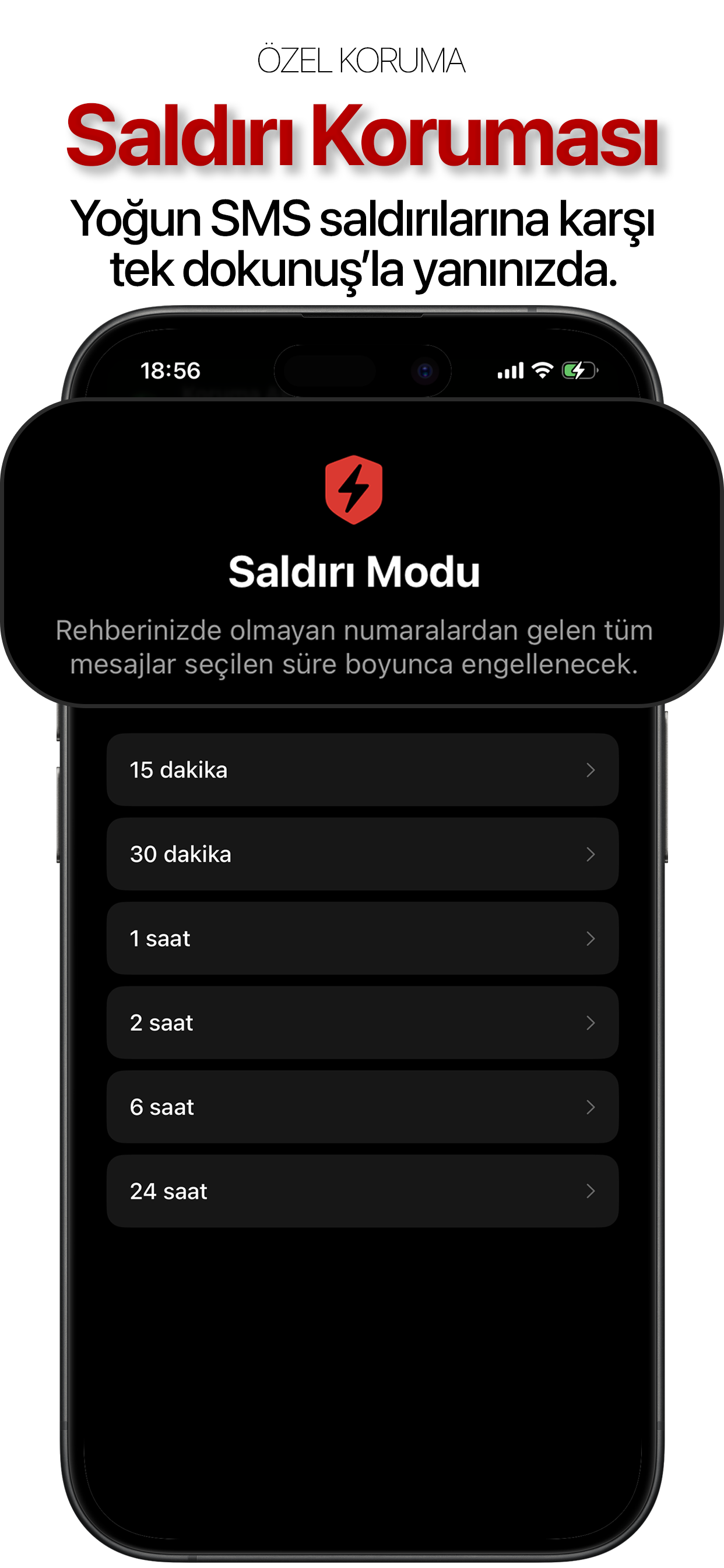 SpamBye privacy