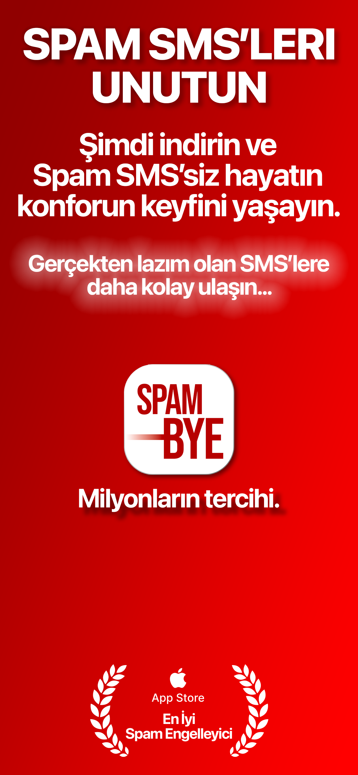 SpamBye overview